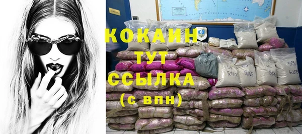 мяу мяу мука Аркадак