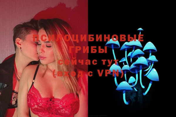 мяу мяу мука Аркадак