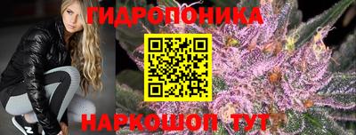 сатива Братск