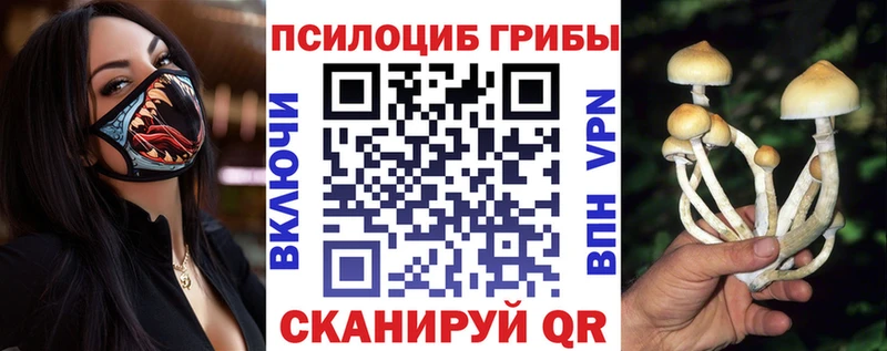 Галлюциногенные грибы Cubensis  Балашиха 
