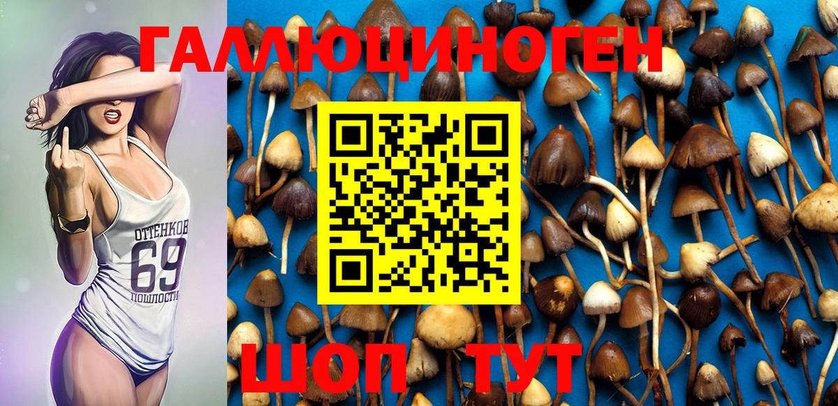 Псилоцибиновые грибы MAGIC MUSHROOMS  Вход с VPN  Балашиха  Псилоцибиновые грибы MAGIC MUSHROOMS 